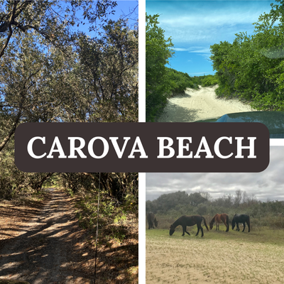 Carova Beach Walkability