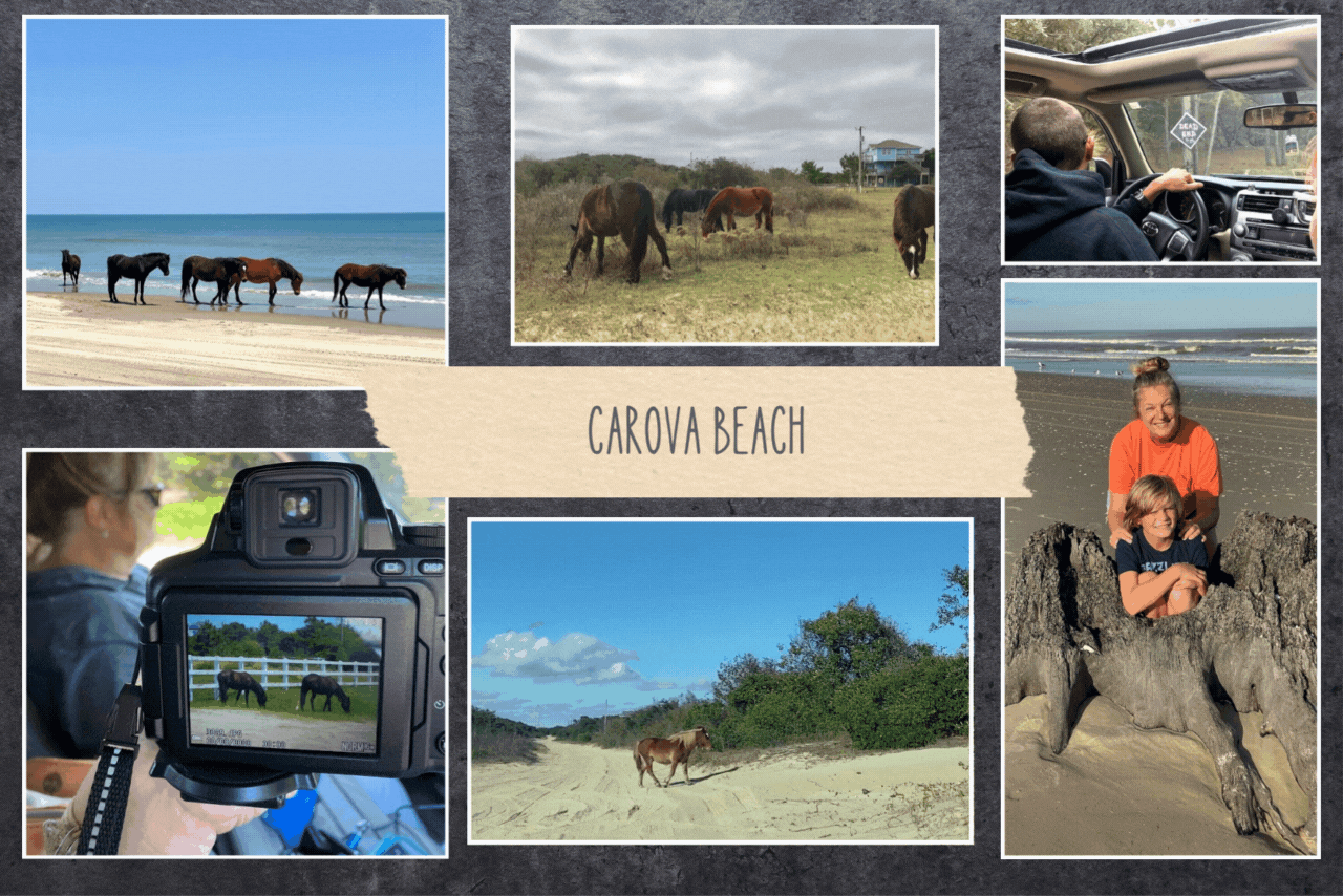 Best Photo Ops Carova beach