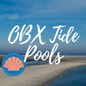 Outer Banks Tidal Pools
