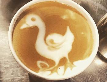 Duck's Cottage Coffee & Books