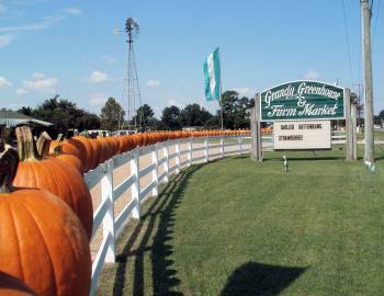 Grandy Greenhouse & Farm Market