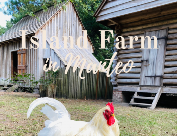 Island Farm in Manteo