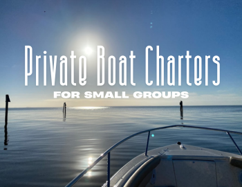  Private Boat Charters