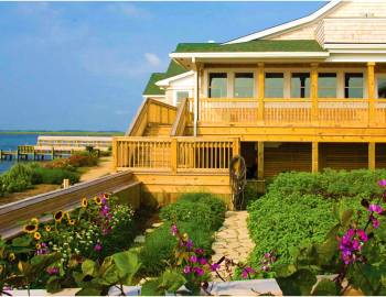 Basnight’s Lone Cedar 