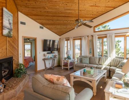 Dolphin Destination - D6650 Dolphin Destination - D6650