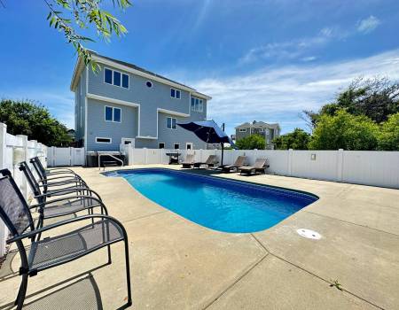 The Lazy Dog - C0499 The Lazy Dog - C0499