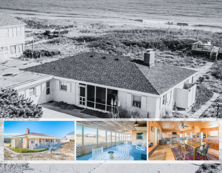 Endangered Species - K2008