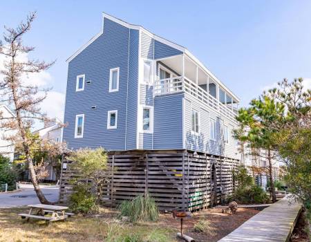 Salty Shamrock - C4985 Salty Shamrock - C4985