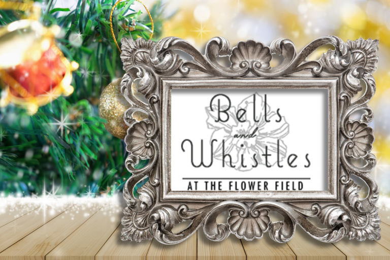 Bells and Whistles