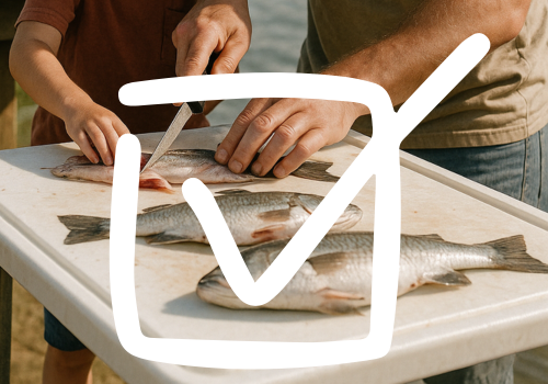 Fish Cleaning Stations