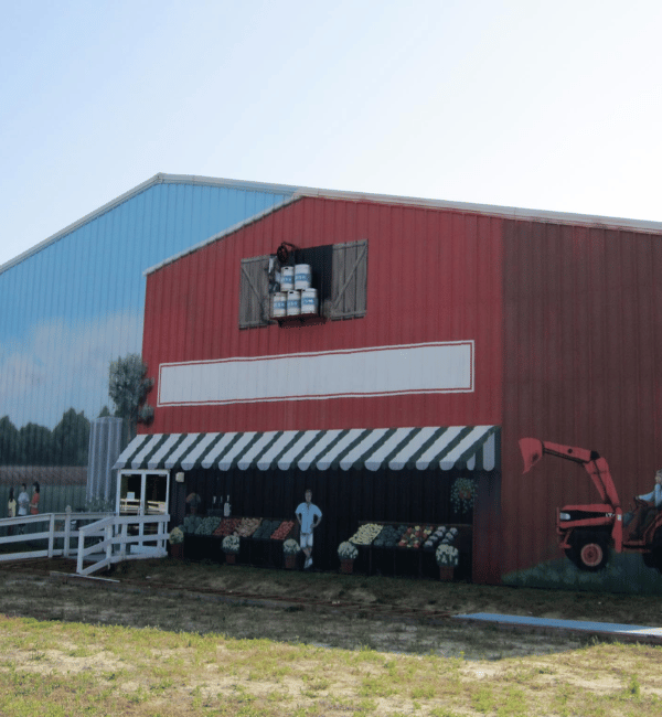 Weeping Radish in Grandy
